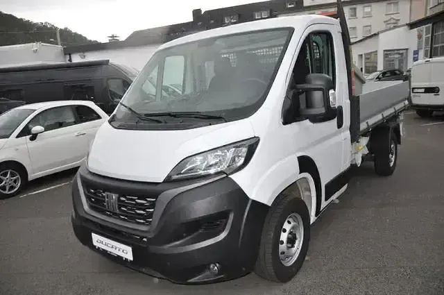 Gebraucht Fiat Ducato 140 PS (102 kW) 2023 Bianco Van