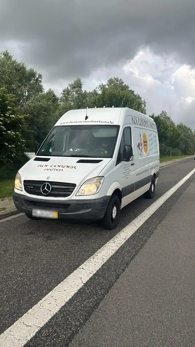 Gebraucht Mercedes Sprinter 109 PS (80 kW) 2008 Weiß