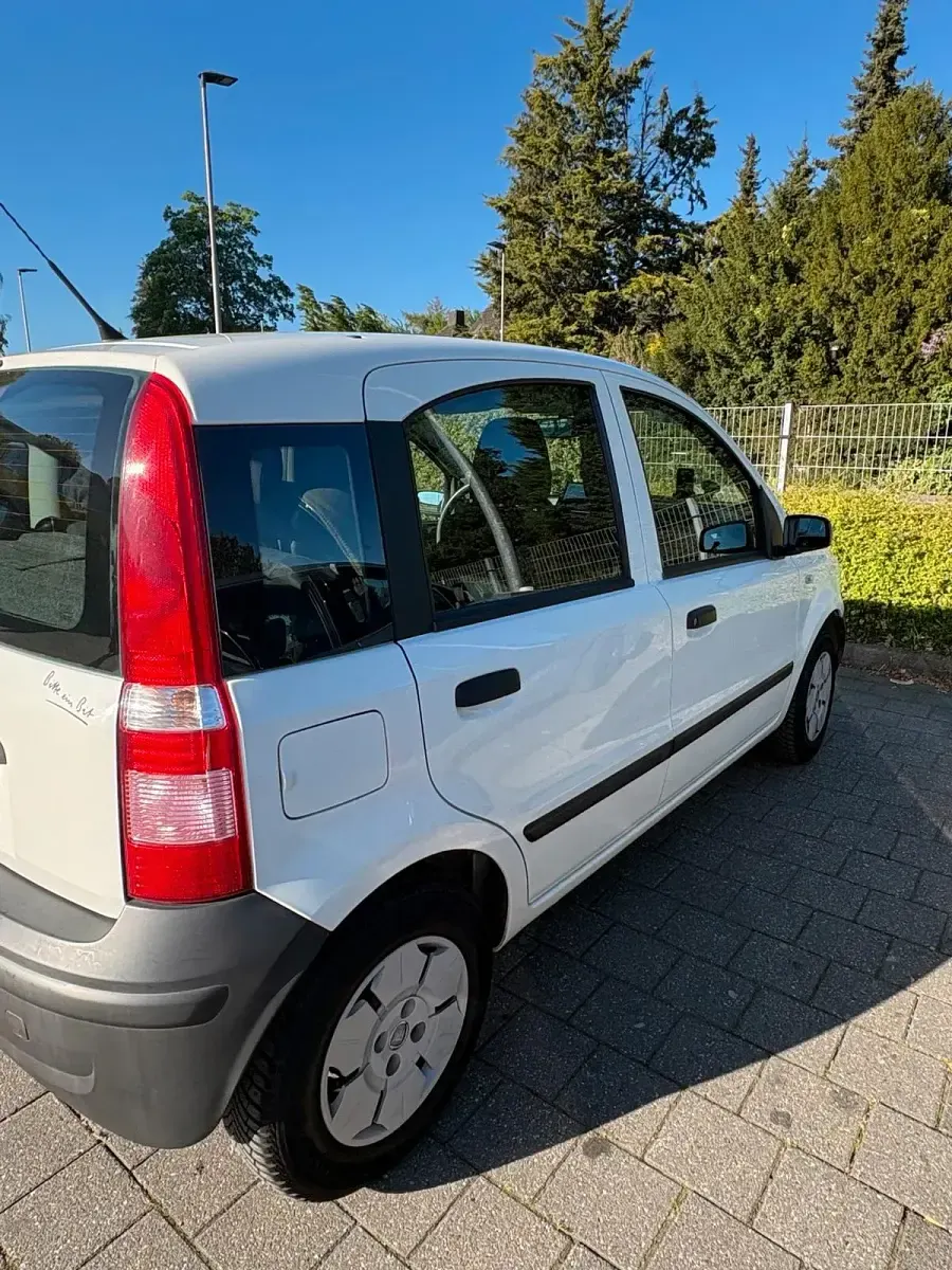 Gebraucht Fiat Panda 54 PS (39 kW) 2009 Weiß Kleinwagen