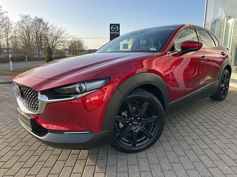 Gebraucht Mazda CX-30 Selection 186 PS (136 kW) 2023 Rot SUV