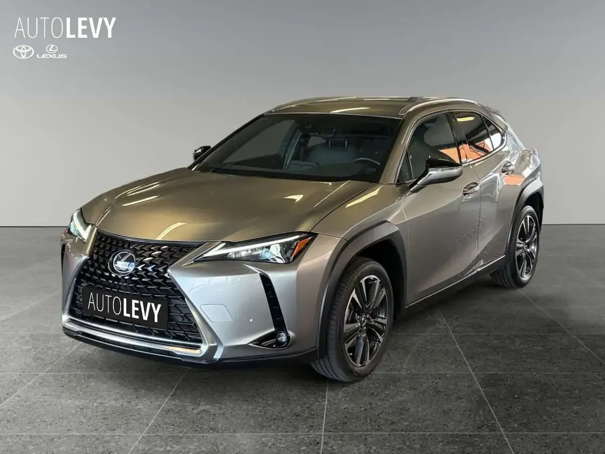 Gebraucht Lexus UX 250h 184 PS (135 kW) 2023 Silber SUV