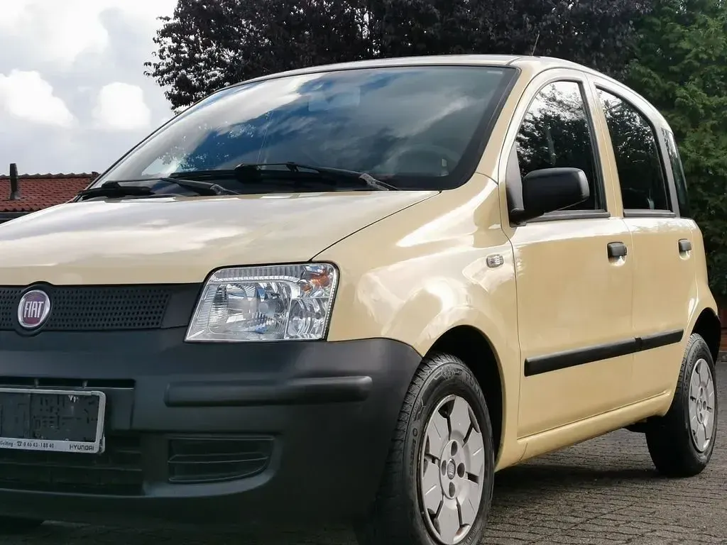 Occasion Fiat Panda Active 54 ch (39 kW) 2009 Jaune Citadine