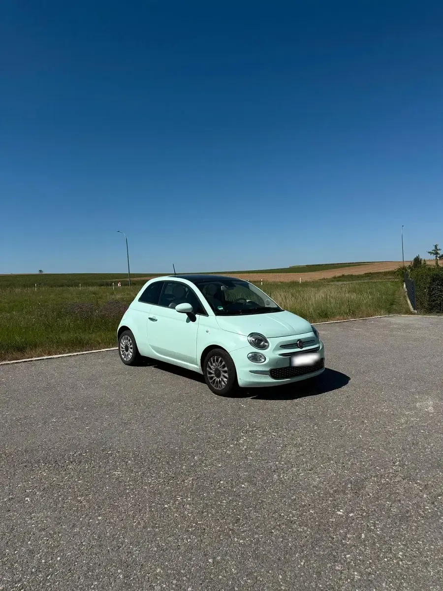 Gebraucht Fiat 500 69 PS (50 kW) 2018 Grün Kleinwagen