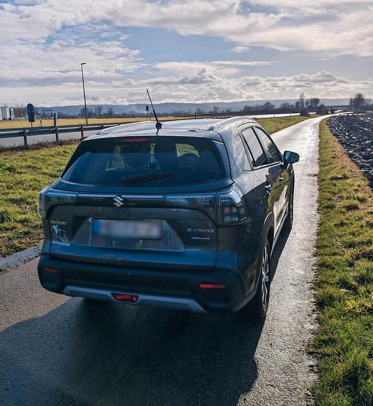 Gebraucht Suzuki SX4 S-Cross 2022 Grün SUV