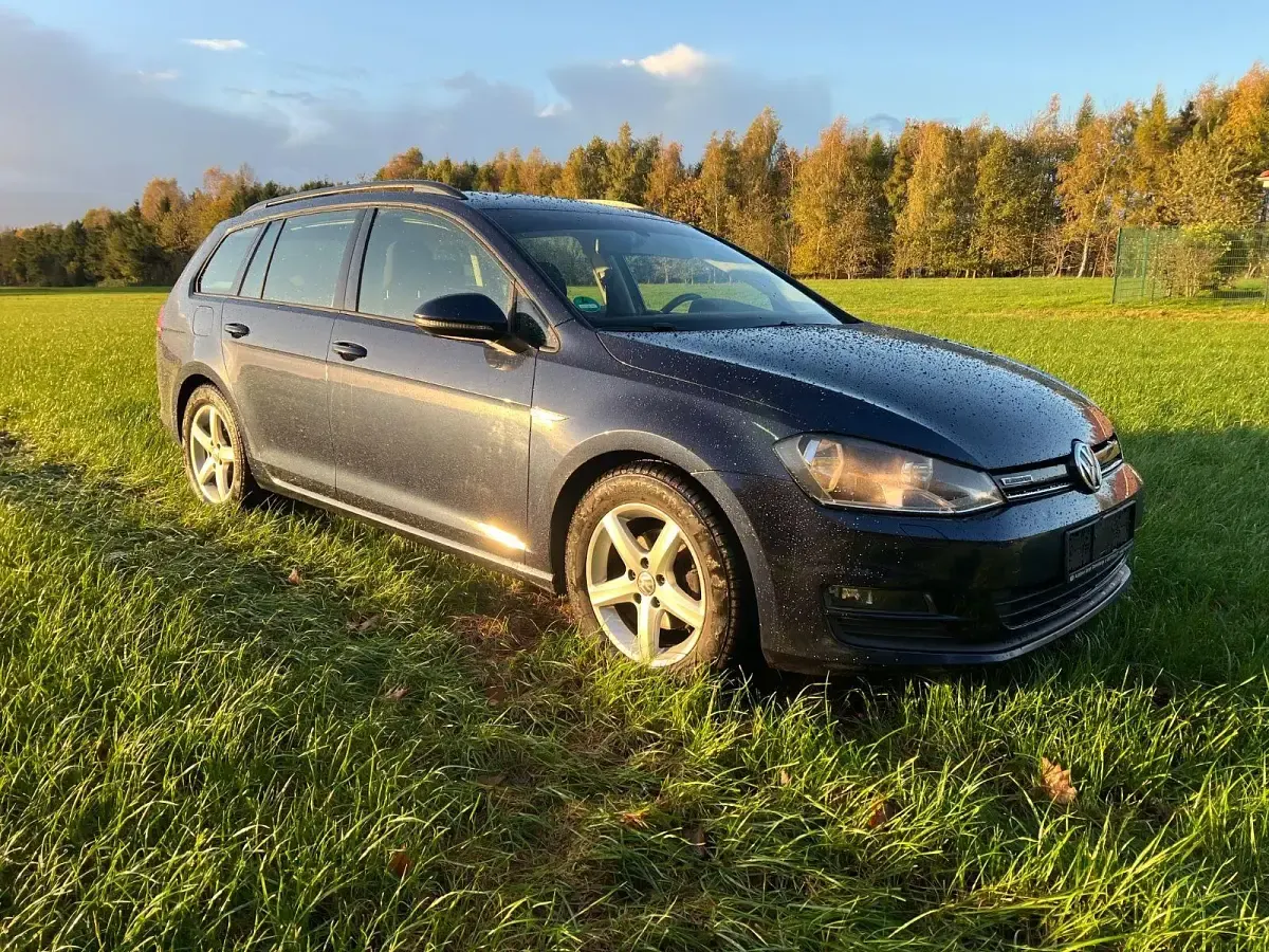 Gebraucht VW Golf VII Trendline 110 PS (80 kW) 2016 Blau Kombi