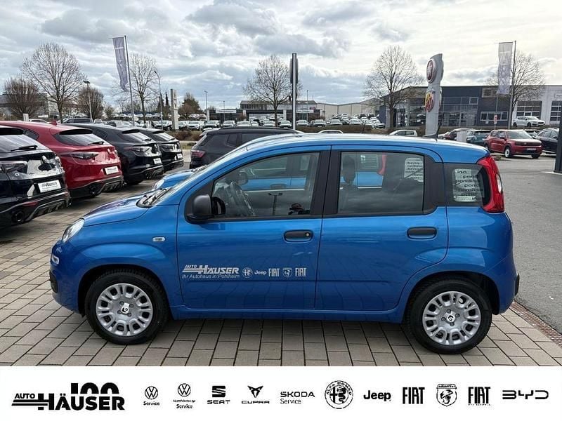 Gebraucht Fiat Panda Icon 69 PS (50 kW) 2025 Blau Limousine