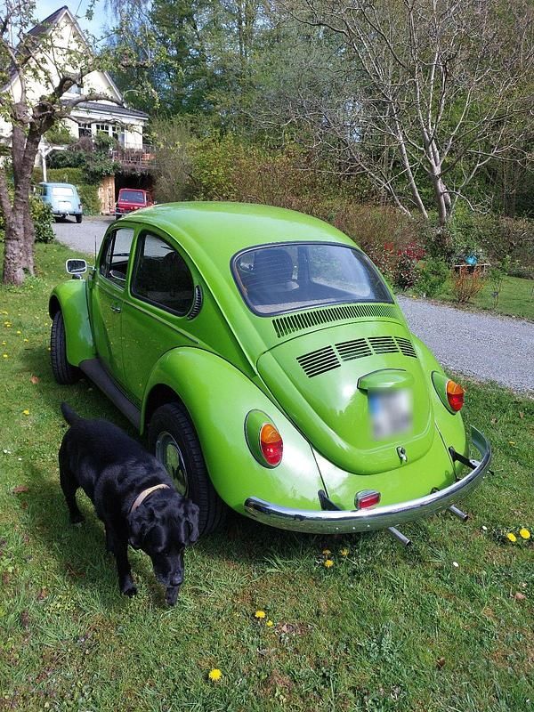 Gebraucht VW Käfer 47 PS (34 kW) 1976 Grün