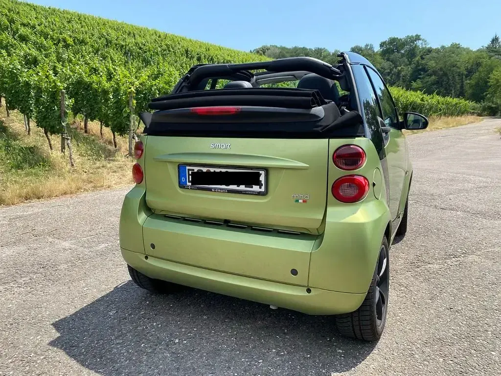 Gebraucht Smart ForTwo Cabrio Passion 71 PS (52 kW) 2010 Grün Cabrio