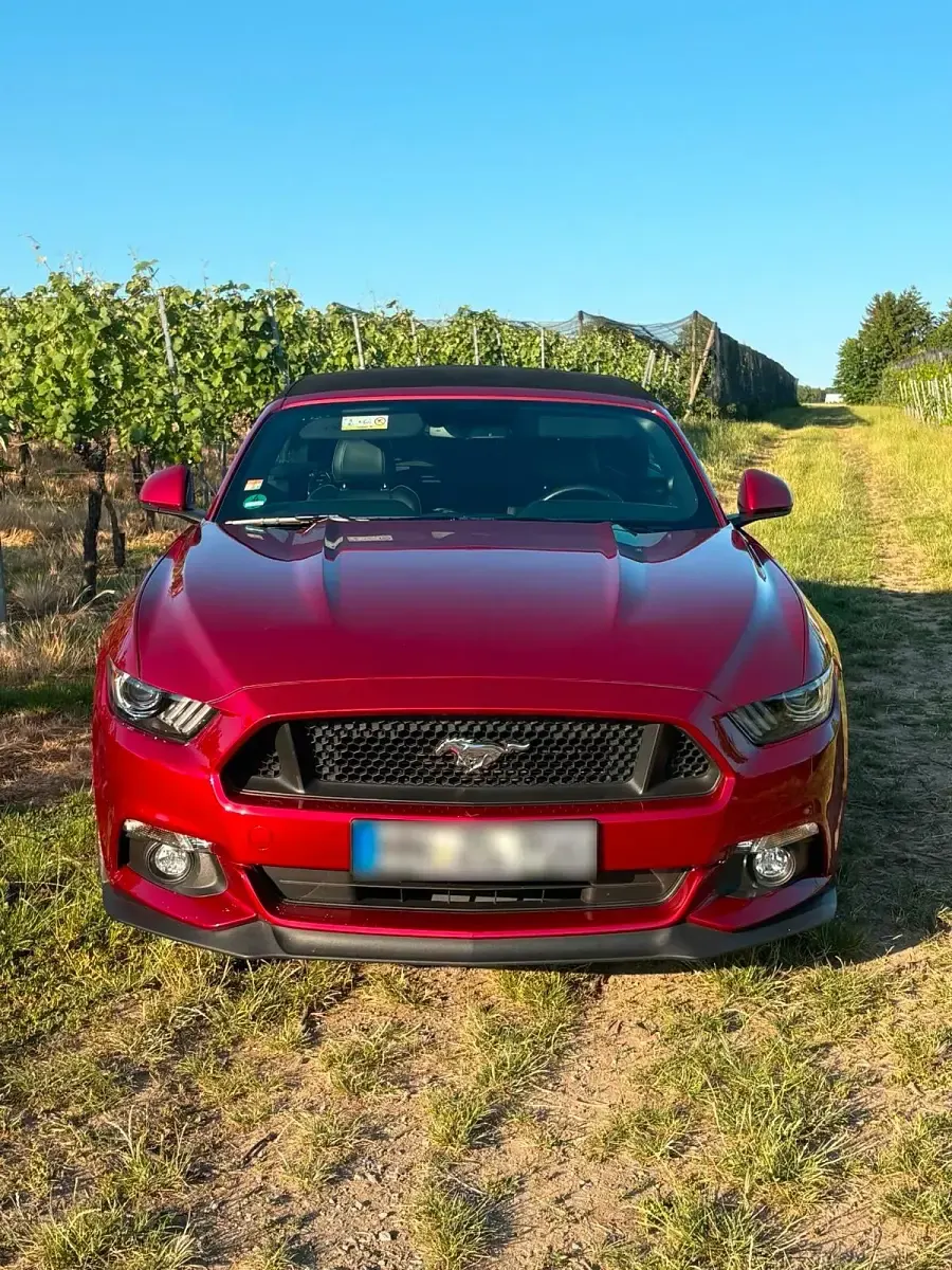Gebraucht Ford Mustang GT 421 PS (309 kW) 2017 Rot Cabrio