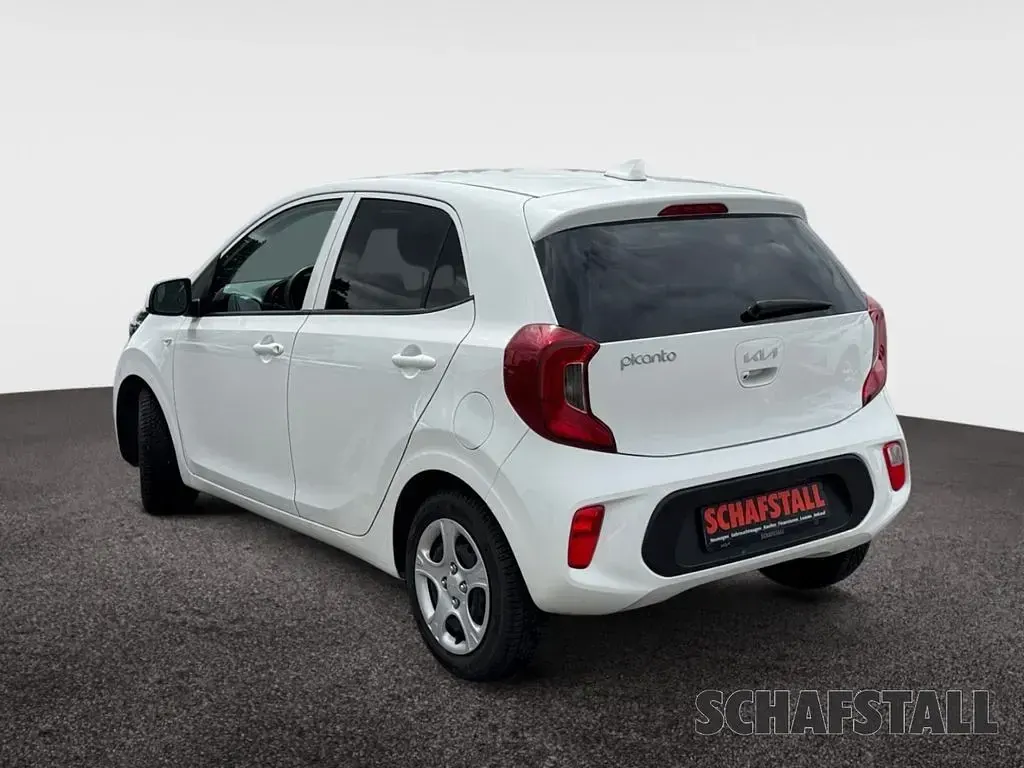 Gebraucht Kia Picanto Vision 67 PS (49 kW) 2024 Clear white Kleinwagen