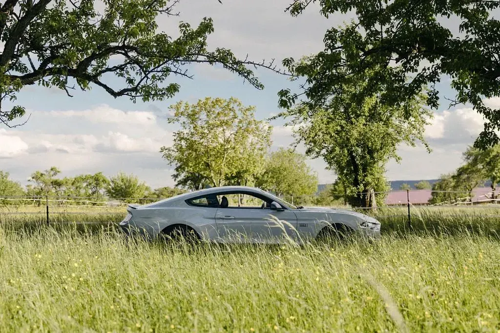 Occasion Ford Mustang Fastback 460 ch (338 kW) 2023 Gris