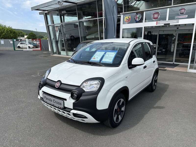 296 gelato weiß Gebraucht 2023 Fiat Panda Cross Cross Kleinwagen | 14.999 € (Etwas zu teuer) - Bild 1/4