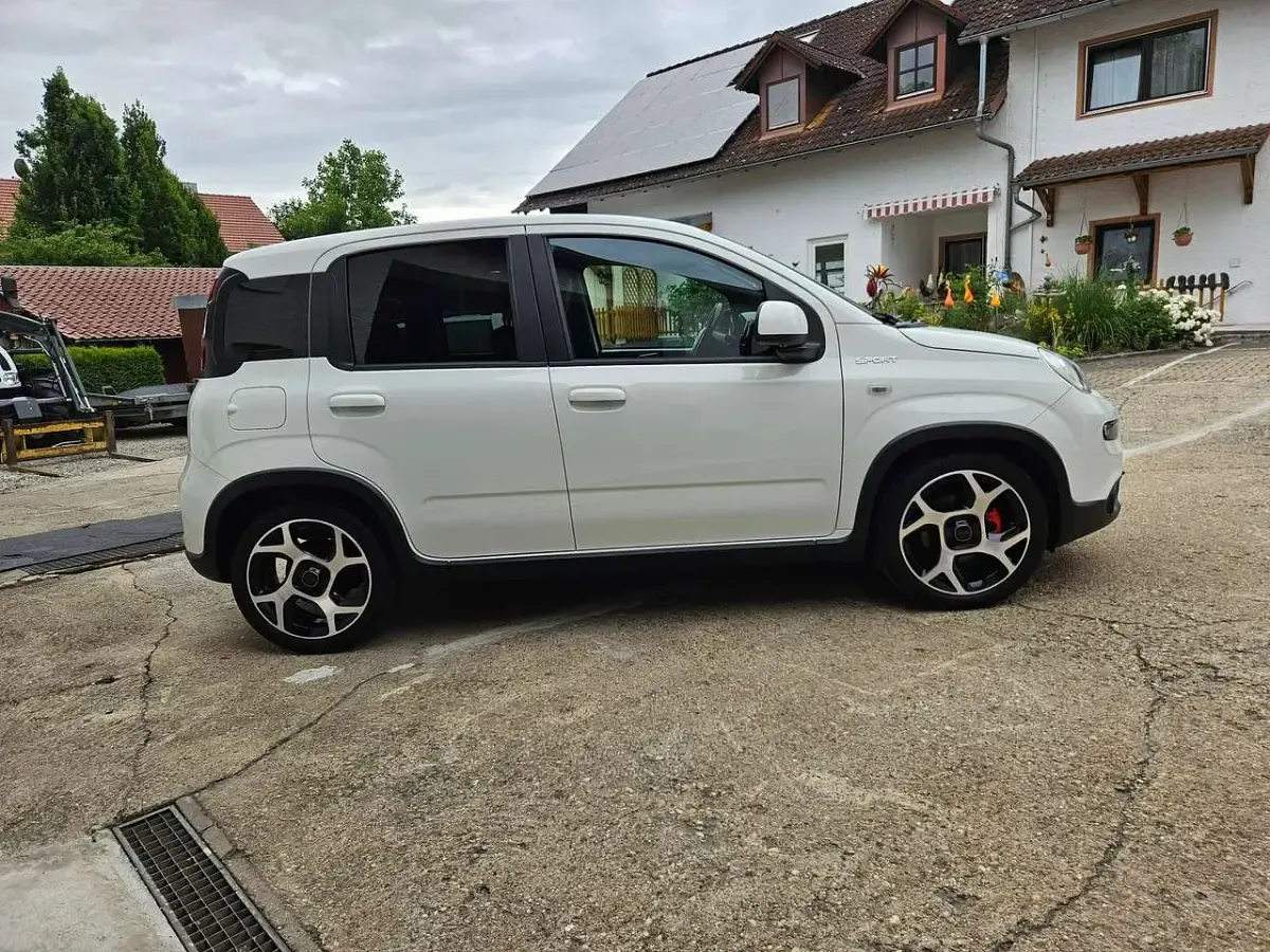 Gebraucht Fiat Panda Sport 69 PS (50 kW) 2021 Colore esterno (weiss) Kleinwagen