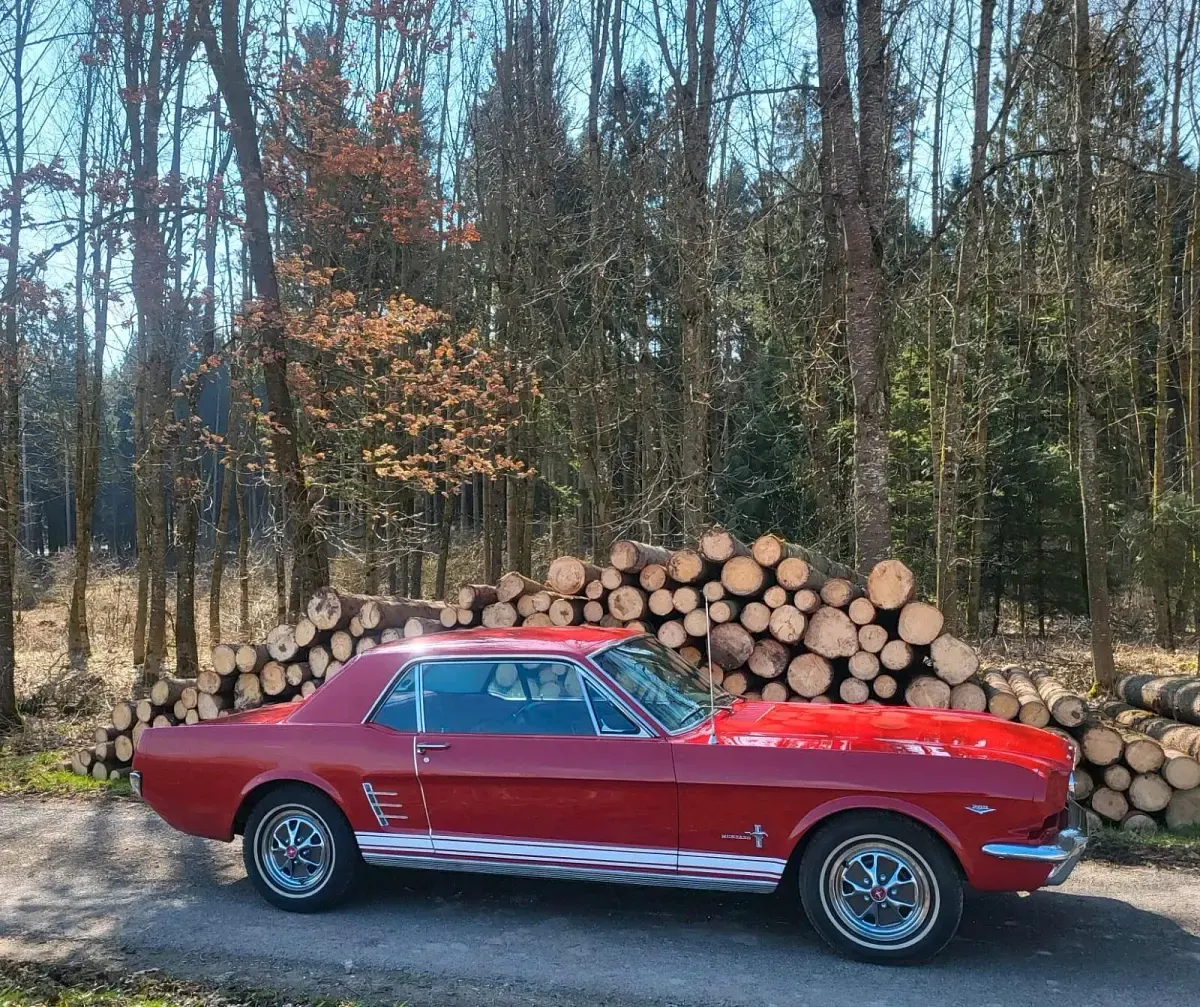 Usata Ford V8 20 CV (14 kW) 1966 Rosso Coupé