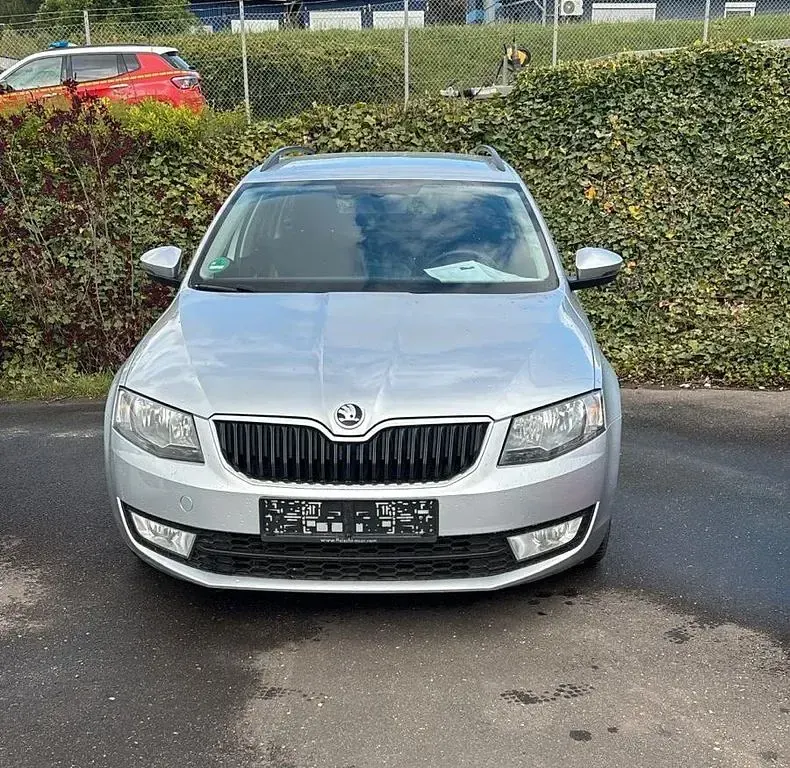 Usata Skoda Octavia Joy 150 CV (110 kW) 2017 Argento Station wagon