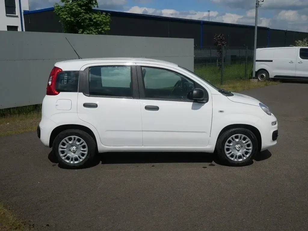 Neu Fiat Panda Pop 65 PS (47 kW) 2026 Weiß Kleinwagen