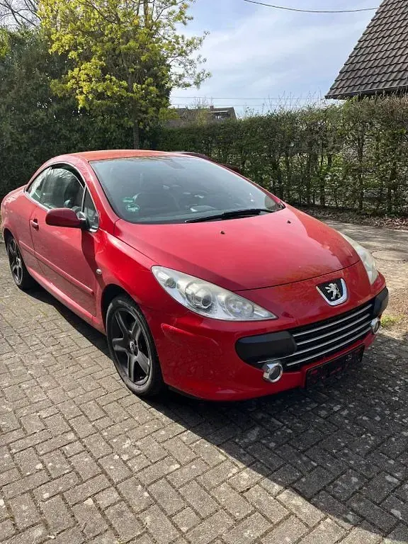 Gebraucht Peugeot 307 CC 140 PS (102 kW) 2006 Rot Cabrio