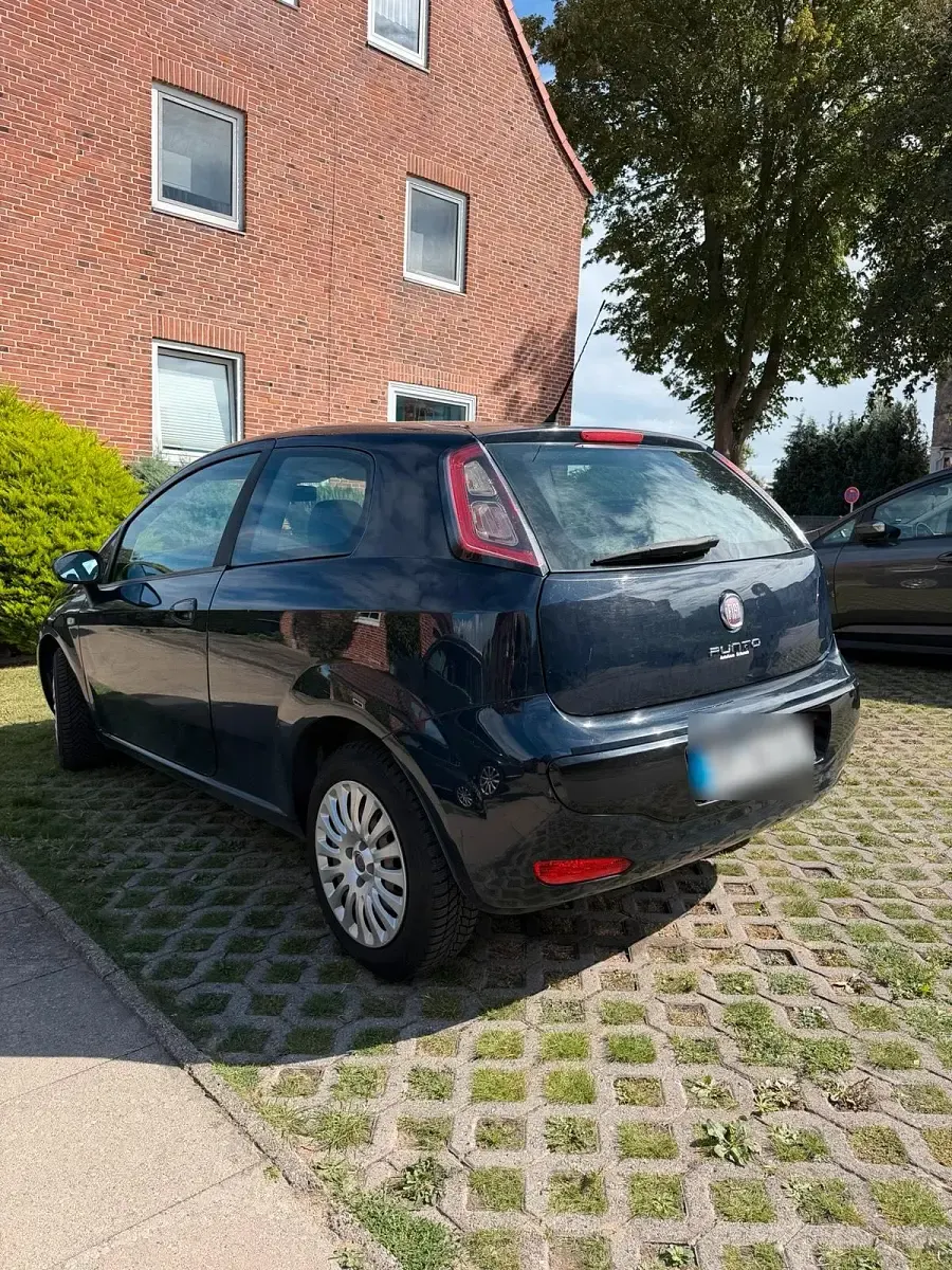 Gebraucht Fiat Punto 69 PS (50 kW) 2010 Blau Kleinwagen