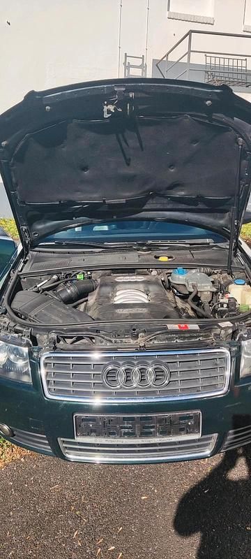 Gebraucht Audi A4 Cabriolet 170 PS (125 kW) 2002 Grün Cabrio