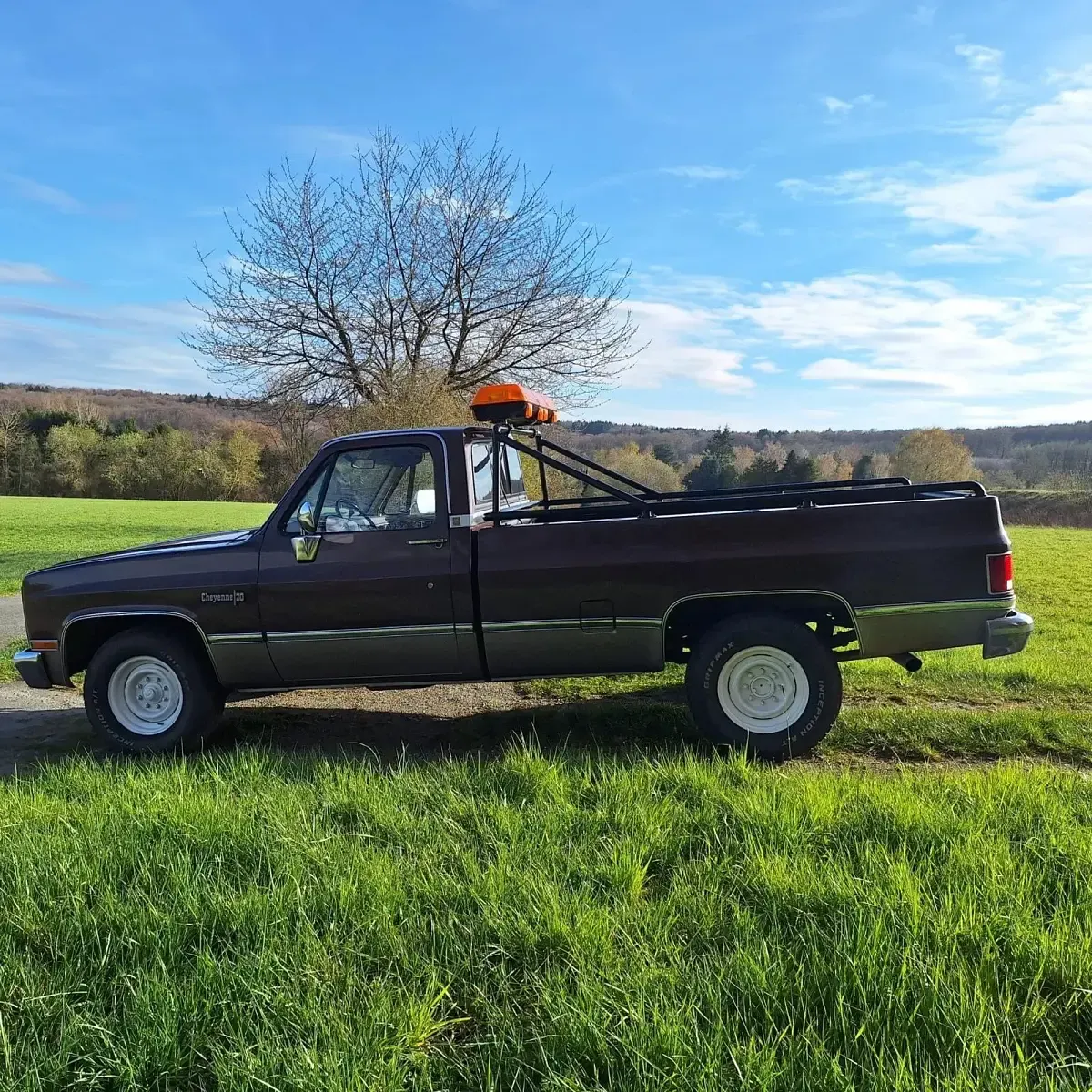 Gebraucht Chevrolet C20 162 PS (119 kW) 1981 Braun Pickup