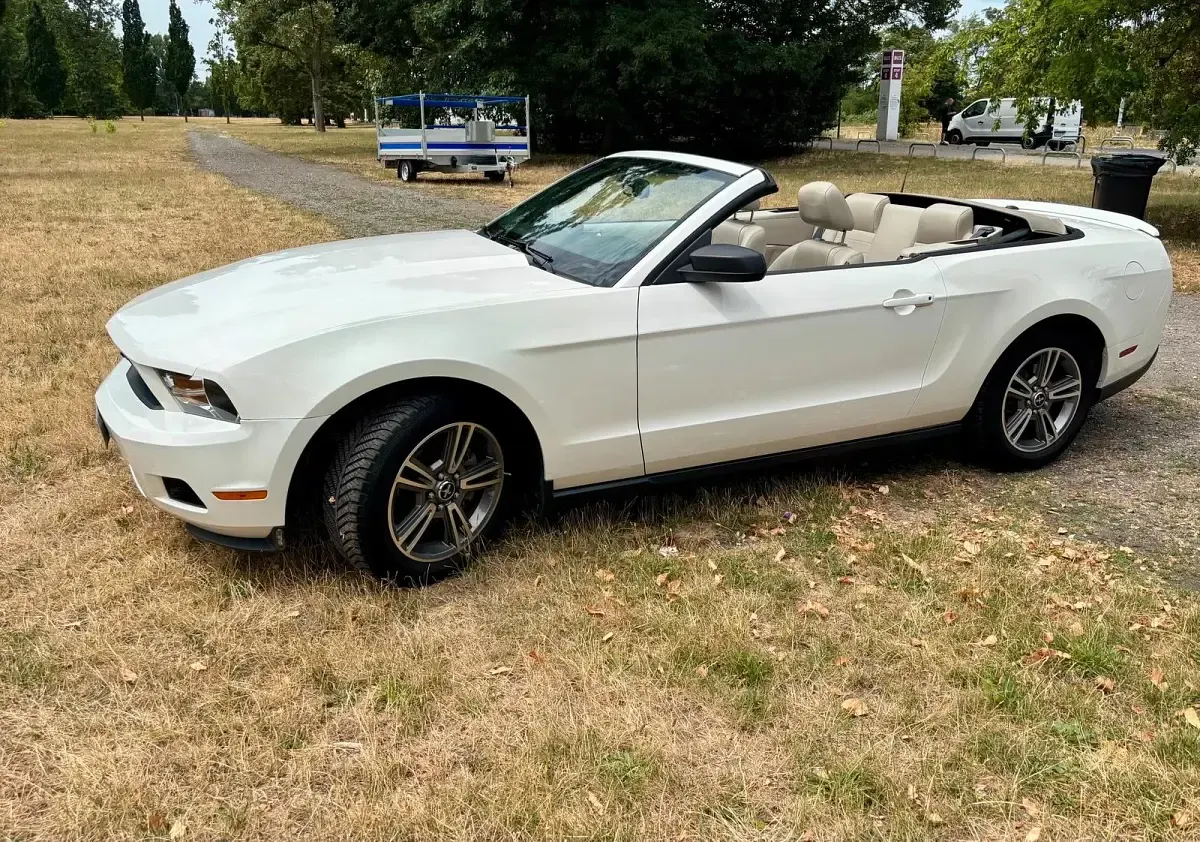 Gebraucht Ford Mustang 214 PS (157 kW) 2009 Weiß Cabrio