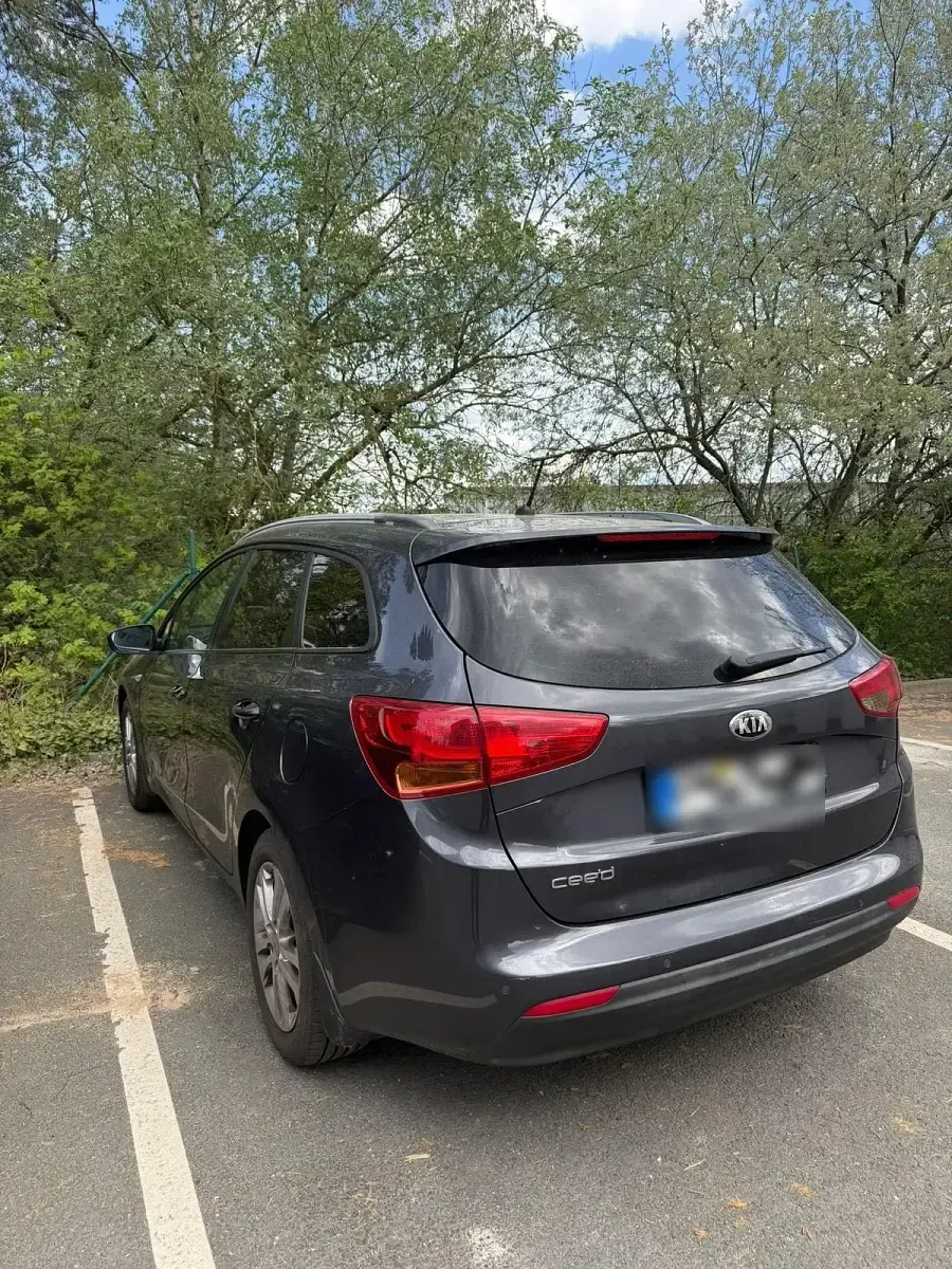 Gebraucht Kia Ceed 136 PS (100 kW) 2014 Grau Kleinwagen