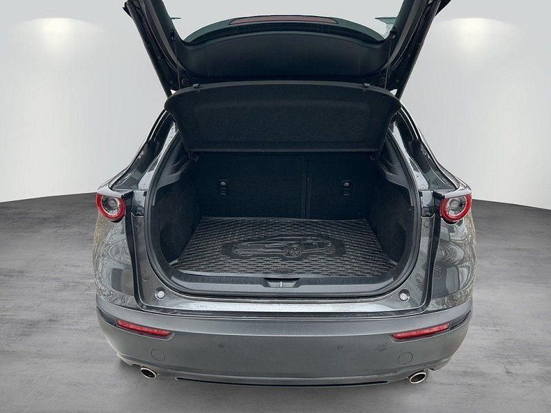 Gebraucht Mazda CX-30 Selection 150 PS (110 kW) 2021 Grau SUV