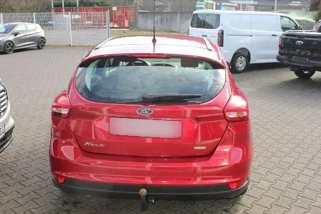 Usata Ford Focus Sport 125 CV (91 kW) 2015 Rosso