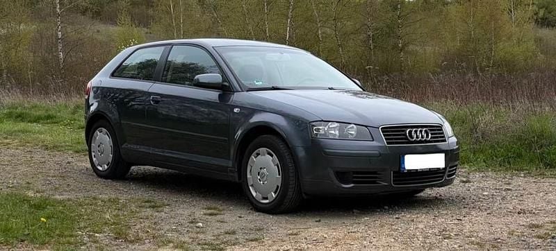 Gebraucht Audi A3 Ambiente 102 PS (75 kW) 2004 Grau Kleinwagen