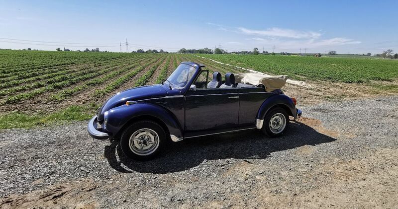 Blau Gebraucht 1973 VW Käfer Cabrio | 19.800 € - Bild 1/4