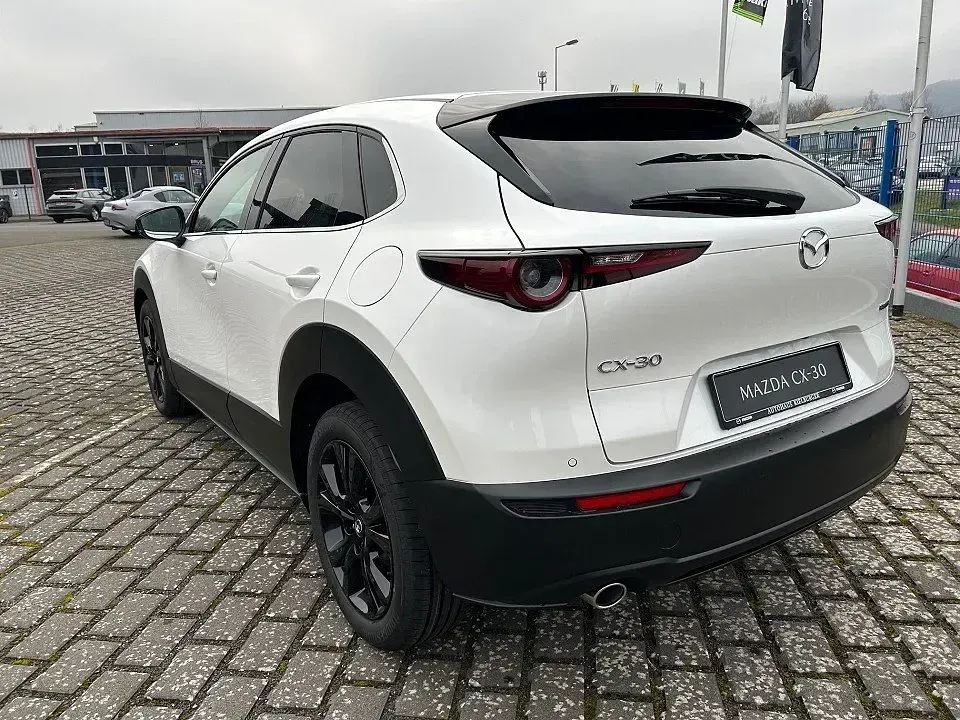 Neu Mazda CX-30 Homura-Line 140 PS (102 kW) 2025 SUV