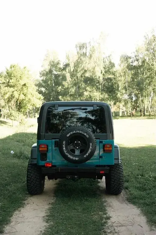 Gebraucht Jeep Wrangler 118 PS (86 kW) 1994 Blau SUV