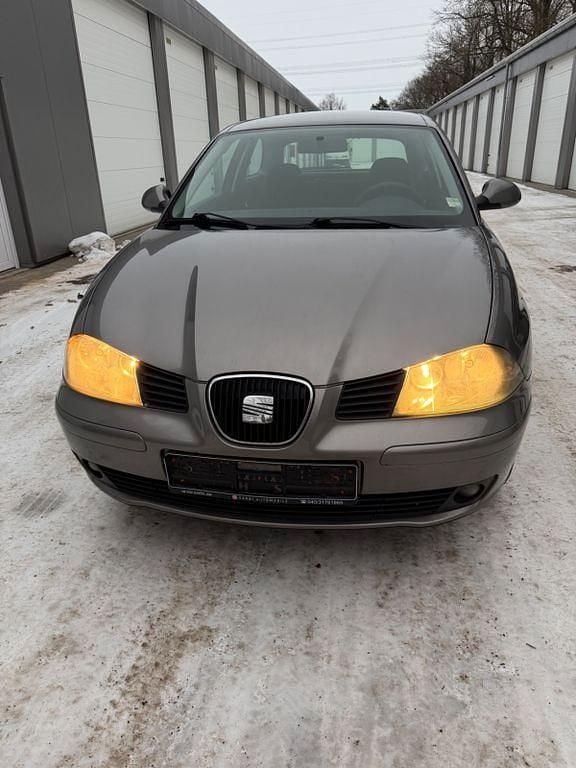 Gebraucht Seat Ibiza Reference 75 PS (55 kW) 2006 Grau Kleinwagen