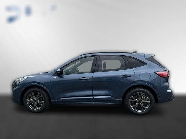Gebraucht Ford Kuga ST-Line X 151 PS (111 kW) 2024 Metallic SUV