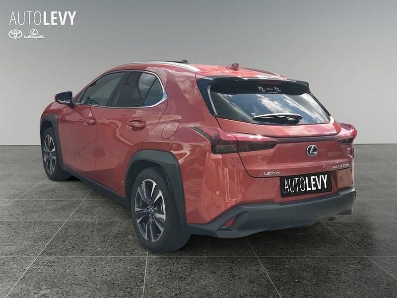 Gebraucht Lexus UX 250h Sport Line 184 PS (135 kW) 2024 Rot SUV