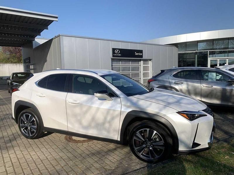 Gebraucht Lexus UX 250h 184 PS (135 kW) 2023 Weiß SUV