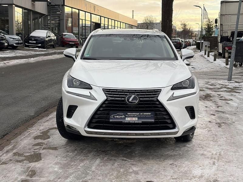 Gebraucht Lexus NX300h Executive Line 197 PS (144 kW) 2018 Weiß SUV
