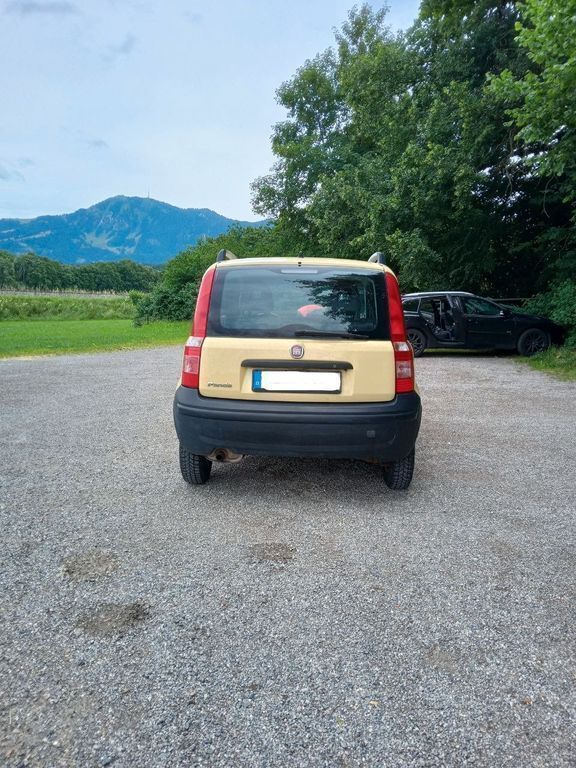 Gebraucht Fiat Panda 54 PS (39 kW) 2010 Gelb Kleinwagen