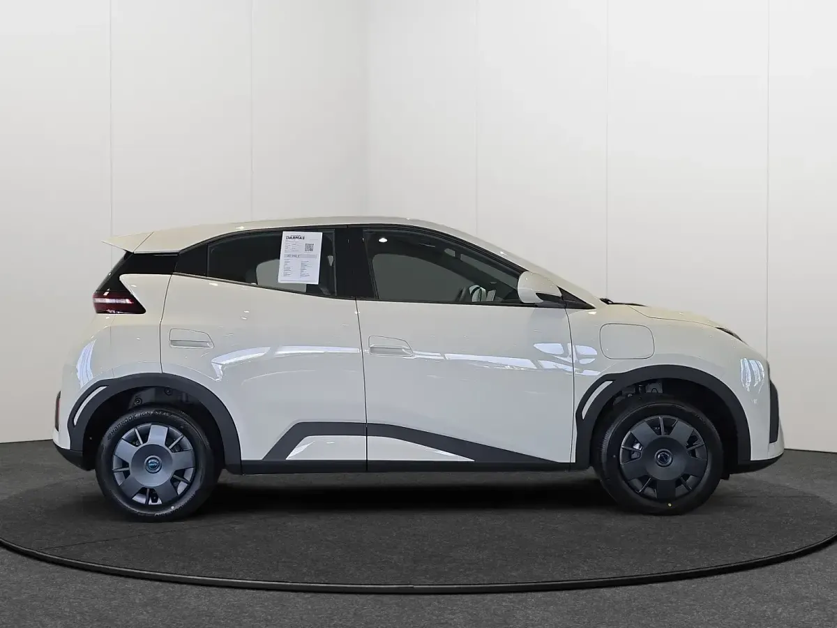 Nouvelle BYD Dolphin Surf Active 64 kW (88 ch) 2026 Blanc Citadine