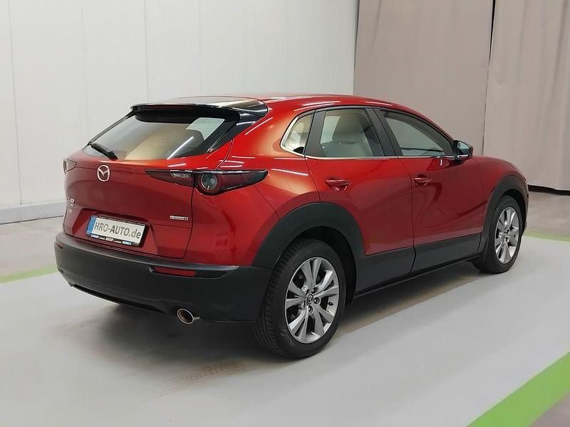 Gebraucht Mazda CX-30 Selection 186 PS (136 kW) 2021 Rot SUV