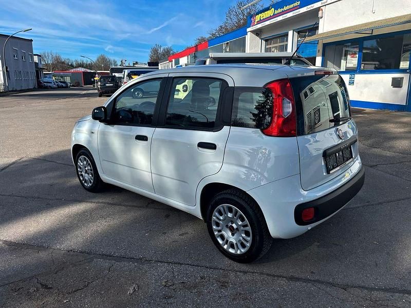 Gebraucht Fiat Panda Easy 69 PS (50 kW) 2019 Weiß Kleinwagen