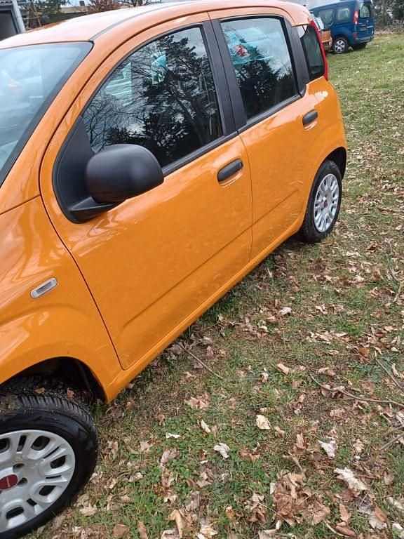 Gebraucht Fiat Panda Easy 69 PS (50 kW) 2019 Orange Kleinwagen