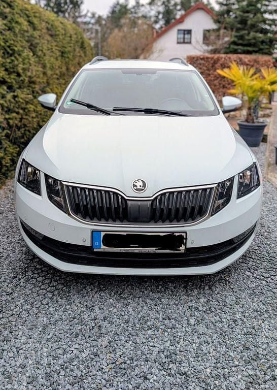 Gebraucht Skoda Octavia Active 150 PS (110 kW) 2018 Weiß Kombi