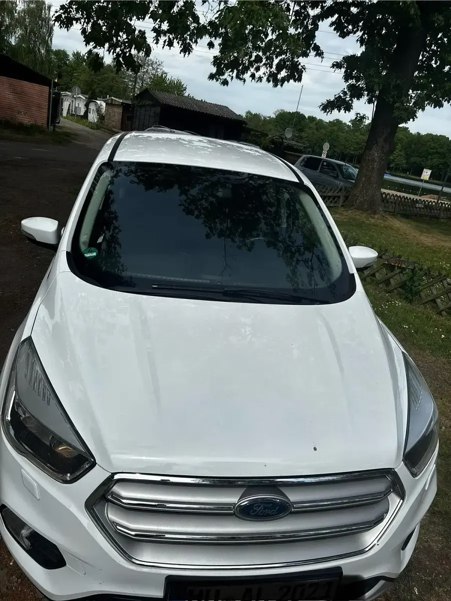 Usata Ford Kuga 120 CV (88 kW) 2019 Bianco SUV