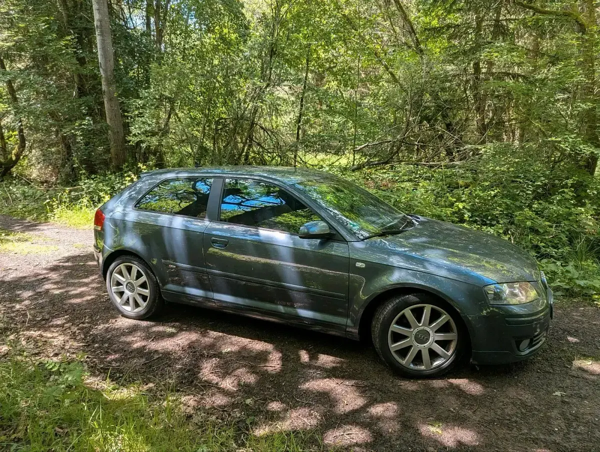 Gebraucht Audi A3 S-Line 170 PS (125 kW) 2007 Grau Kleinwagen