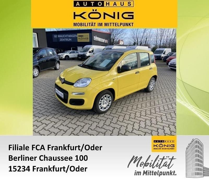 Neu Fiat Panda 69 PS (50 kW) 2025 Gelb Kleinwagen