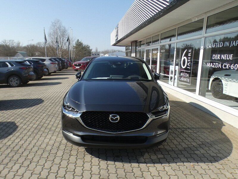 Gebraucht Mazda CX-30 Takumi-Line 186 PS (136 kW) 2024 SUV