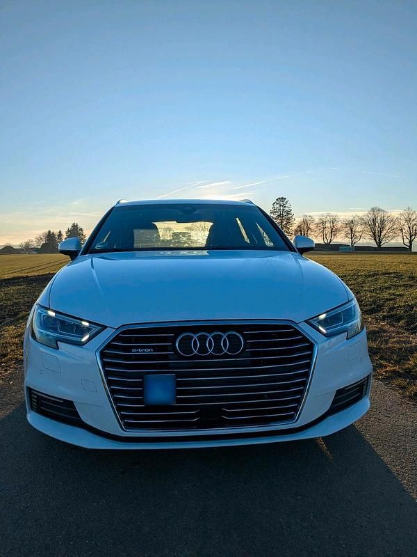 Gebraucht Audi e-tron 204 PS (150 kW) 2019 Weiß SUV