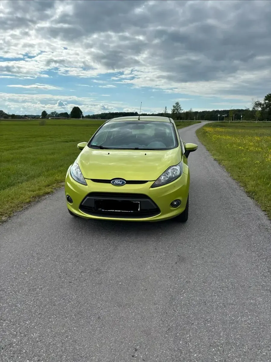 Gebraucht Ford Fiesta 82 PS (60 kW) 2009 Grün Kleinwagen