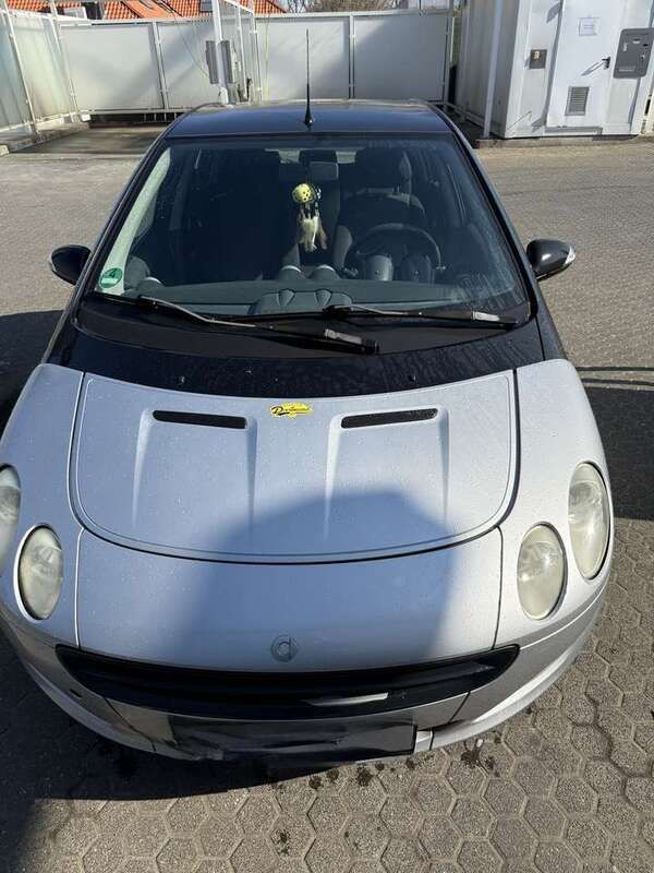 Grau Gebraucht 2004 Smart ForFour Pulse Limousine | 1.100 € (Fairer Preis) - Bild 1/4